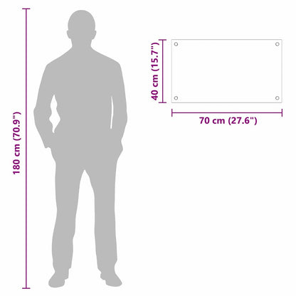 Rivestimento da Cucina Trasparente 70 x 40 cm vetro temperato