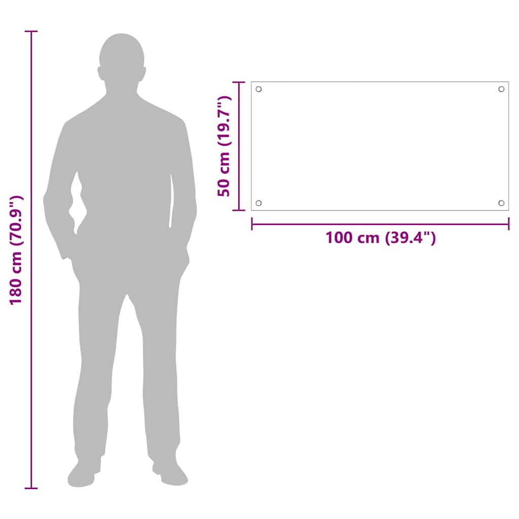 Rivestimento da Cucina Trasparente 100 x 50 cm vetro temperato