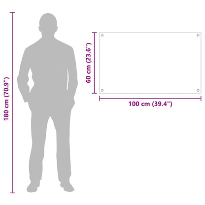 Rivestimento da Cucina Trasparente 100 x 60 cm vetro temperato