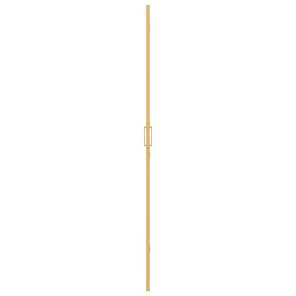 Parete doccia walk-in Oro 100 x 6,5 x 190 cm | homemem39