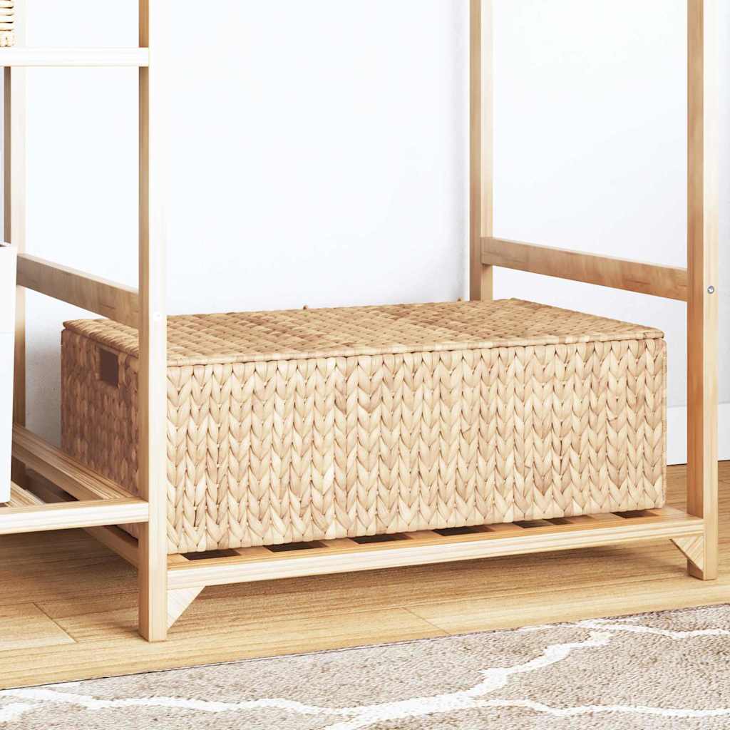 Scatola di Stoccaggio Marrone 60 x 38 x 20 cm Giacinto d'acqua