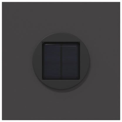 Faro LED solare per sentieri 2 pcs Nero