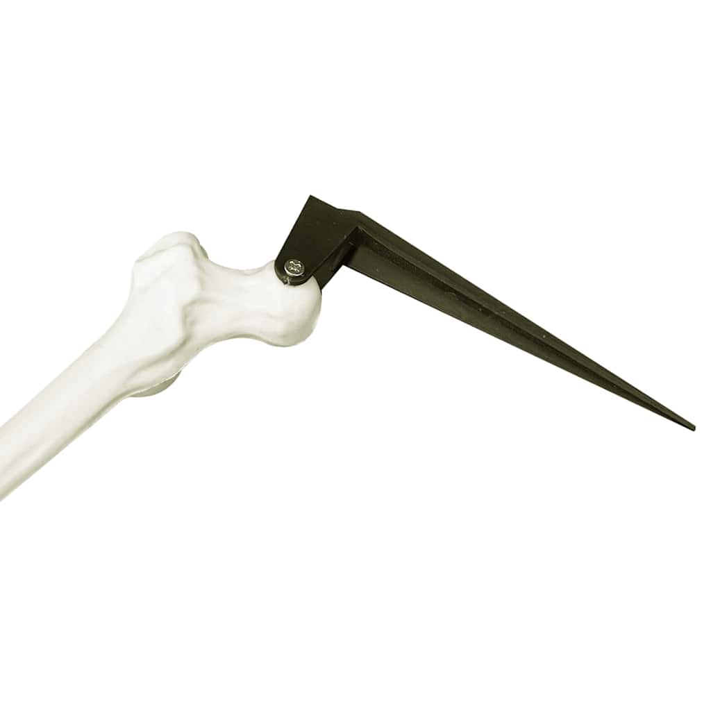 Scheletro di Halloween Bianco 20 x 10 x 9,5 cm Plastica