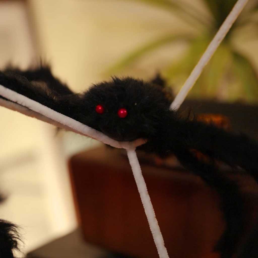 Decorazione di Halloween con ragni e ragnatele 4 pcs Poliestere