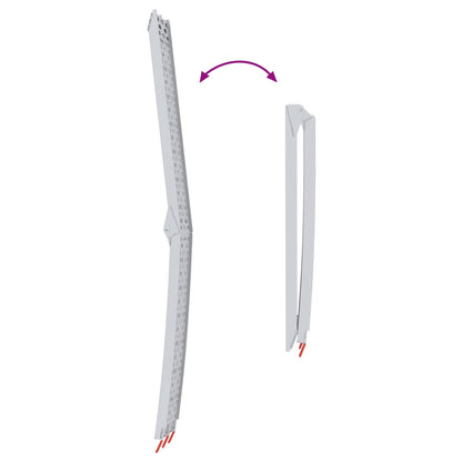 Rampe per Moto Pieghevoli 340 kg per rampa 2 pcs Argento
