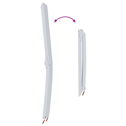 Rampe per moto 680 kg 2 pcs Argento 205 x 28 x 5 cm Alluminio