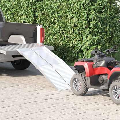 Rampa per sedia a rotelle 270 kg Argento 270 kg Alluminio