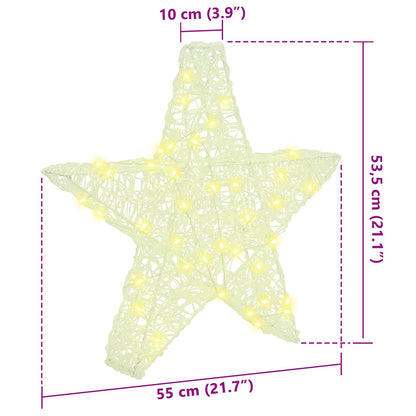 Stella 3D 50 LED Bianco caldo 55 x 53.5 x 10 cm Acrilico | homemem39