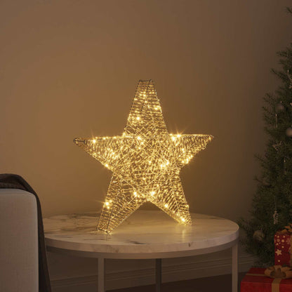 Stella 3D con 50 LED Bianco caldo 55 x 52.5 x 9 cm PET | homemem39