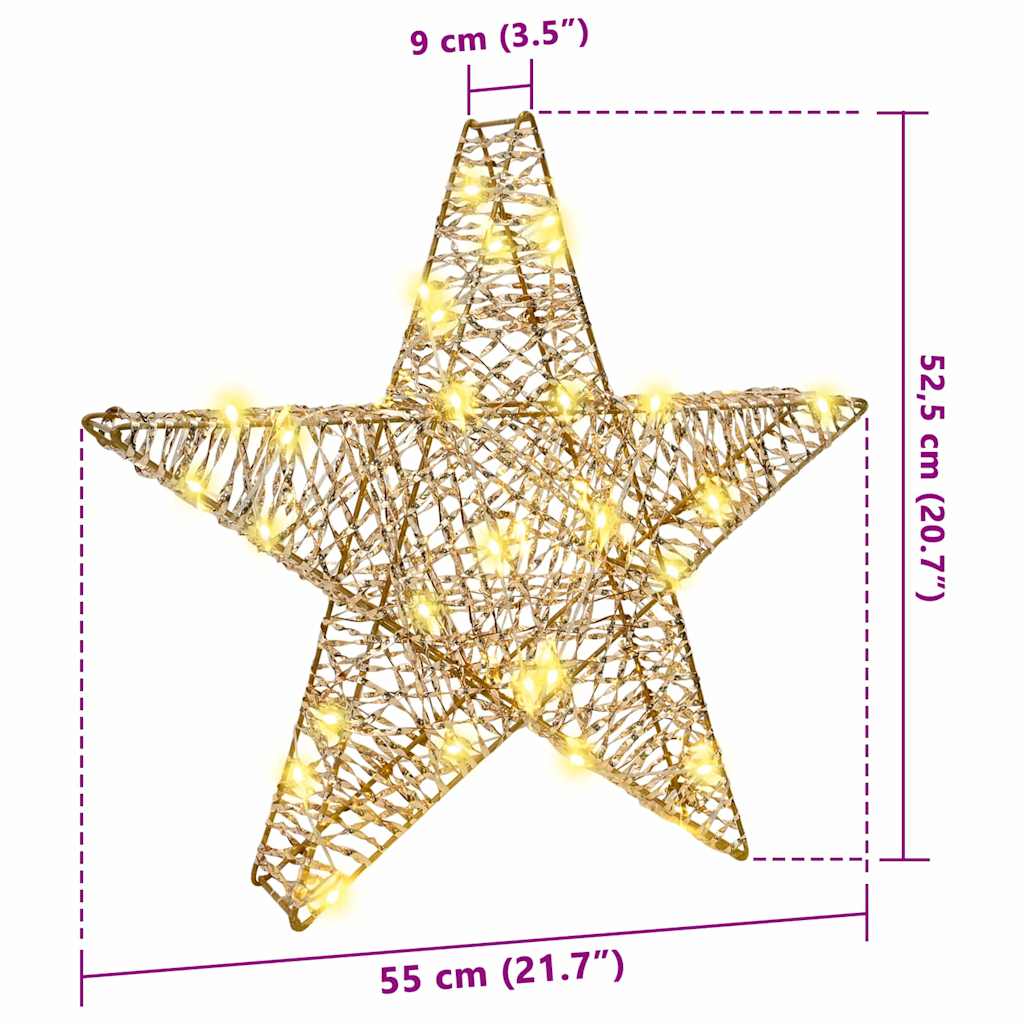 Stella 3D con 50 LED Bianco caldo 55 x 52.5 x 9 cm PET | homemem39