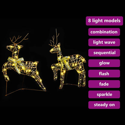 Renne LED con 40 LED 2 pcs Bianco caldo PET | homemem39