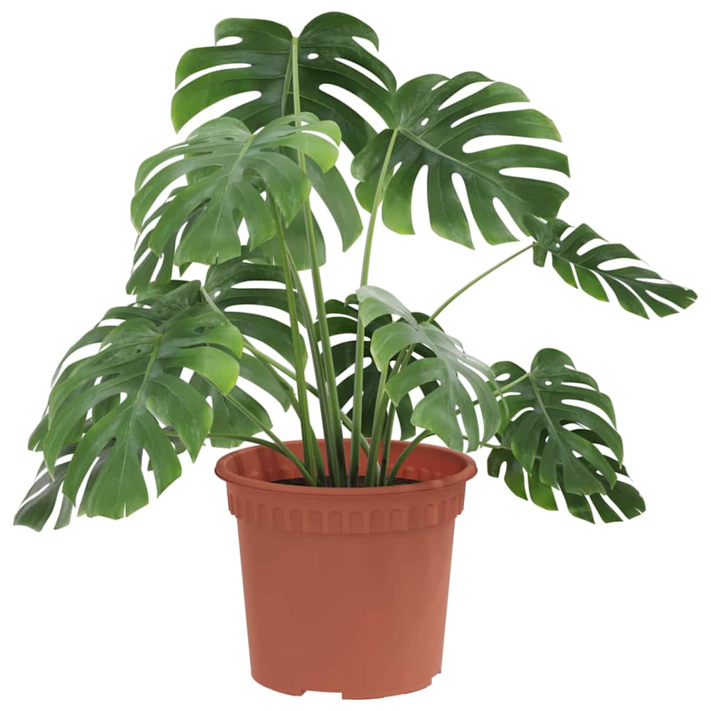 Vaso Rotondo per Fiori 6 pcs Rosso Mattone Ø 12,5 x 10 cm