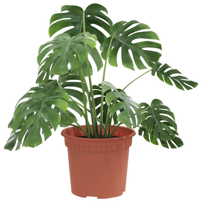 Vaso Rotondo per Fiori 6 pcs Rosso Mattone Ø 12,5 x 10 cm