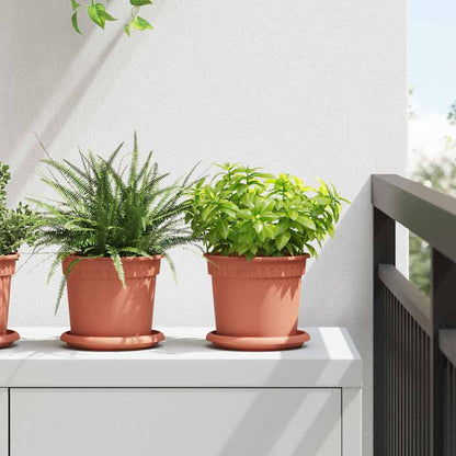 Vassoio Rotondo per Fiori 6 pcs Rosso Mattone Ø 14 x 2 cm | homemem39