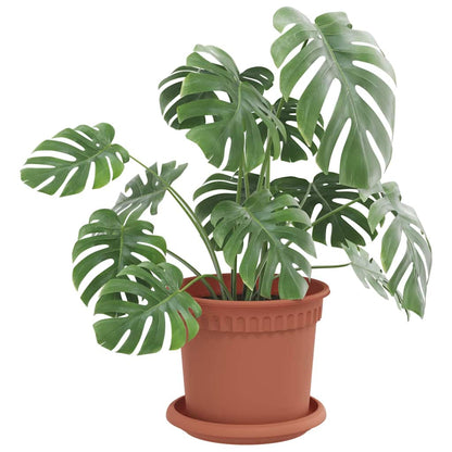 Vassoio Rotondo per Fiori 6 pcs Rosso Mattone Ø 14 x 2 cm