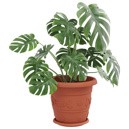 Vassoio Rotondo per Fiori 6 pcs Rosso Mattone Ø 14 x 2 cm