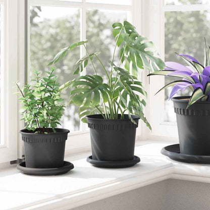 Vassoio Rotondo per Fiori 6 pcs Nero Ø 14 x 2 cm Plastica | homemem39