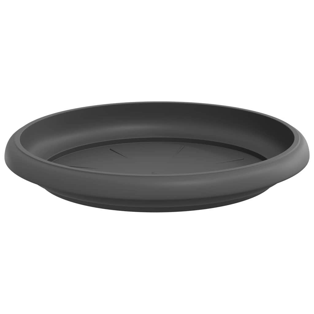 Vassoio Rotondo per Fiori 6 pcs Nero Ø 14 x 2 cm Plastica | homemem39