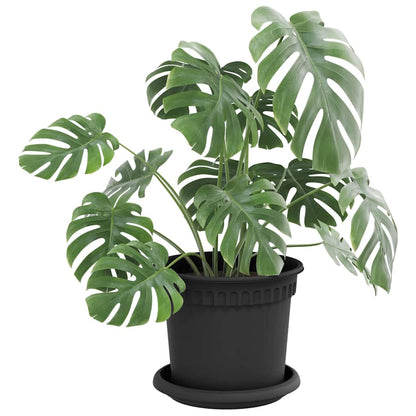 Vassoio Rotondo per Fiori 6 pcs Nero Ø 14 x 2 cm Plastica | homemem39