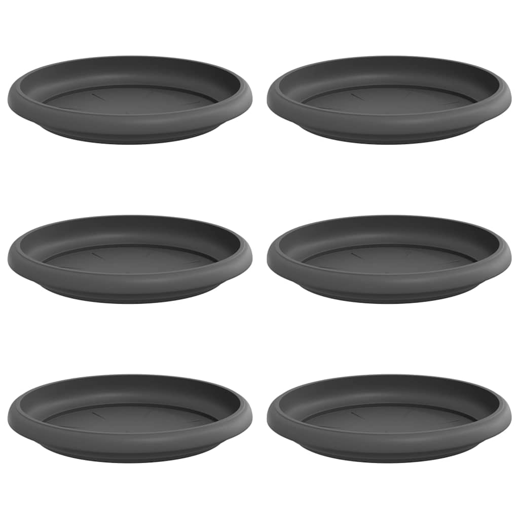 Vassoio Rotondo per Fiori 6 pcs Nero Ø 14 x 2 cm Plastica