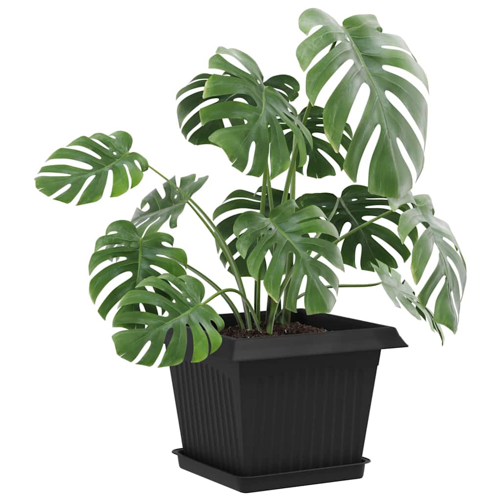 Vassoio Quadrato per Fiori 6 pcs Nero 18 x 18 x 2 cm Plastica | homemem39