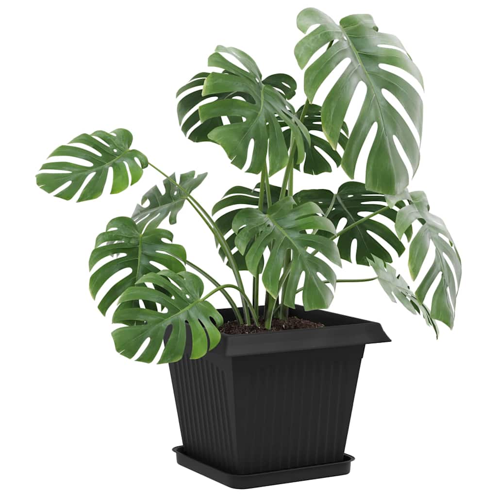 Vassoio Quadrato per Fiori 6 pcs Nero 25,5 x 25,5 x 2,5 cm | homemem39