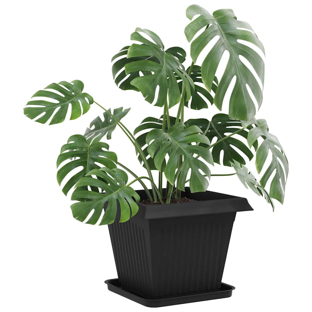 Vassoio Quadrato per Fiori 6 pcs Nero 32 x 32 x 2,5 cm Plastica | homemem39