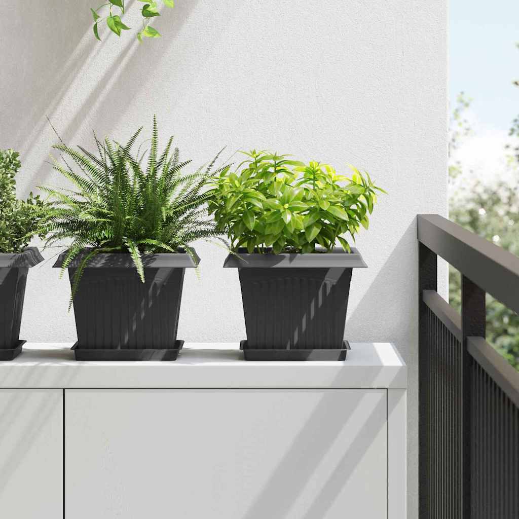Vassoio Quadrato per Fiori 24 pcs Nero 18 x 18 x 2 cm Plastica