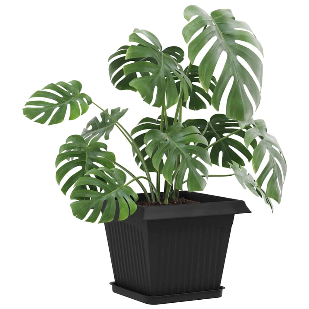 Vassoio Quadrato per Fiori 24 pcs Nero 21 x 21 x 2 cm Plastica