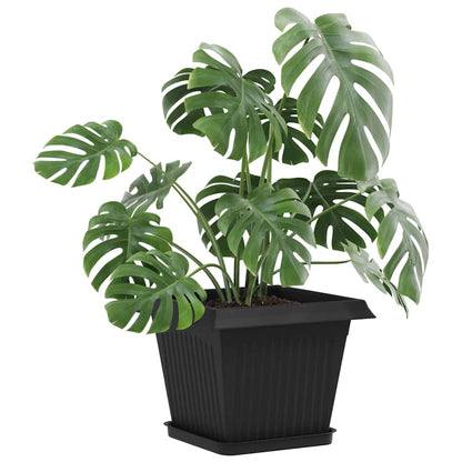 Vassoio Quadrato per Fiori 24 pcs Nero 21 x 21 x 2 cm Plastica