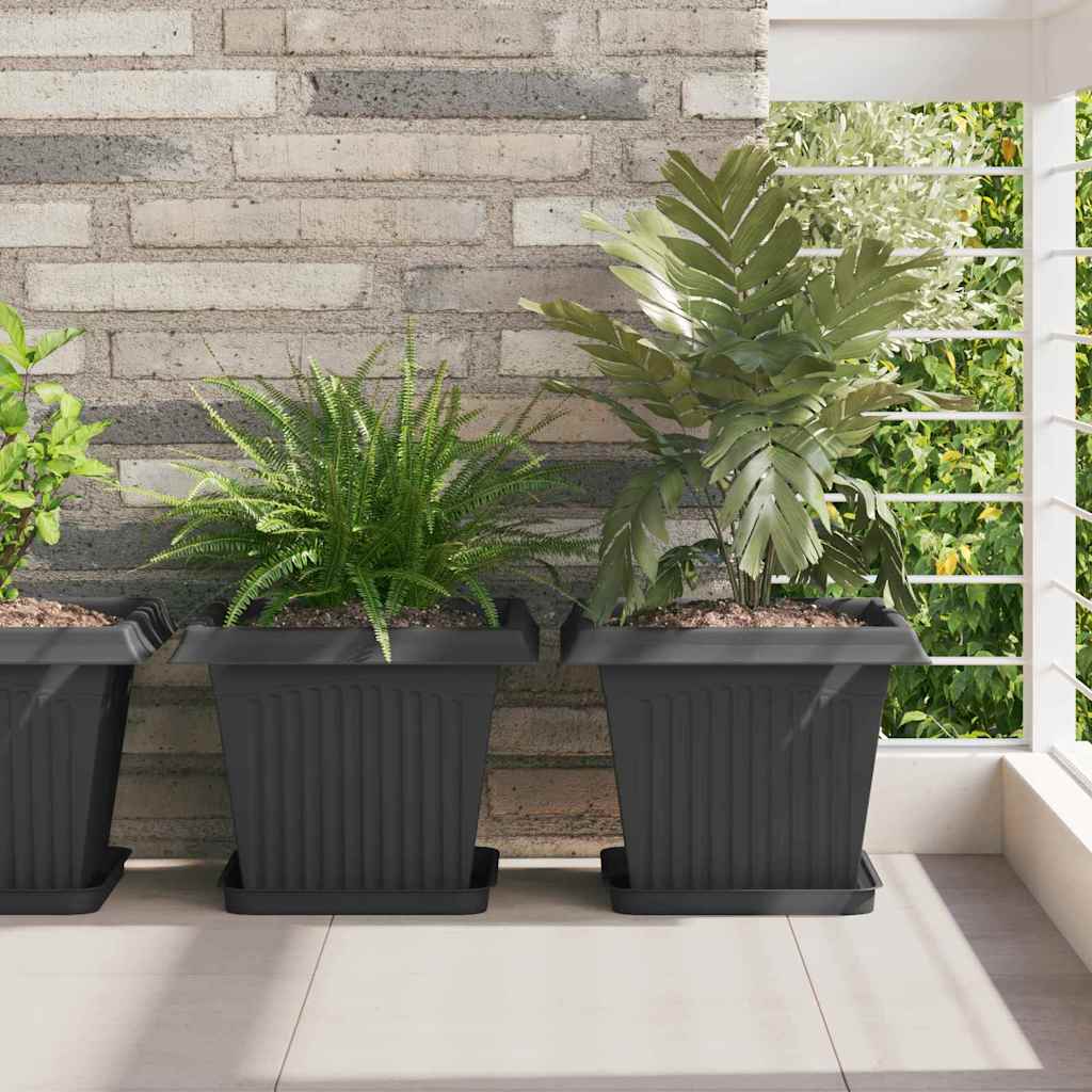Vassoio Quadrato per Fiori 24 pcs Nero 25,5 x 25,5 x 2,5 cm | homemem39