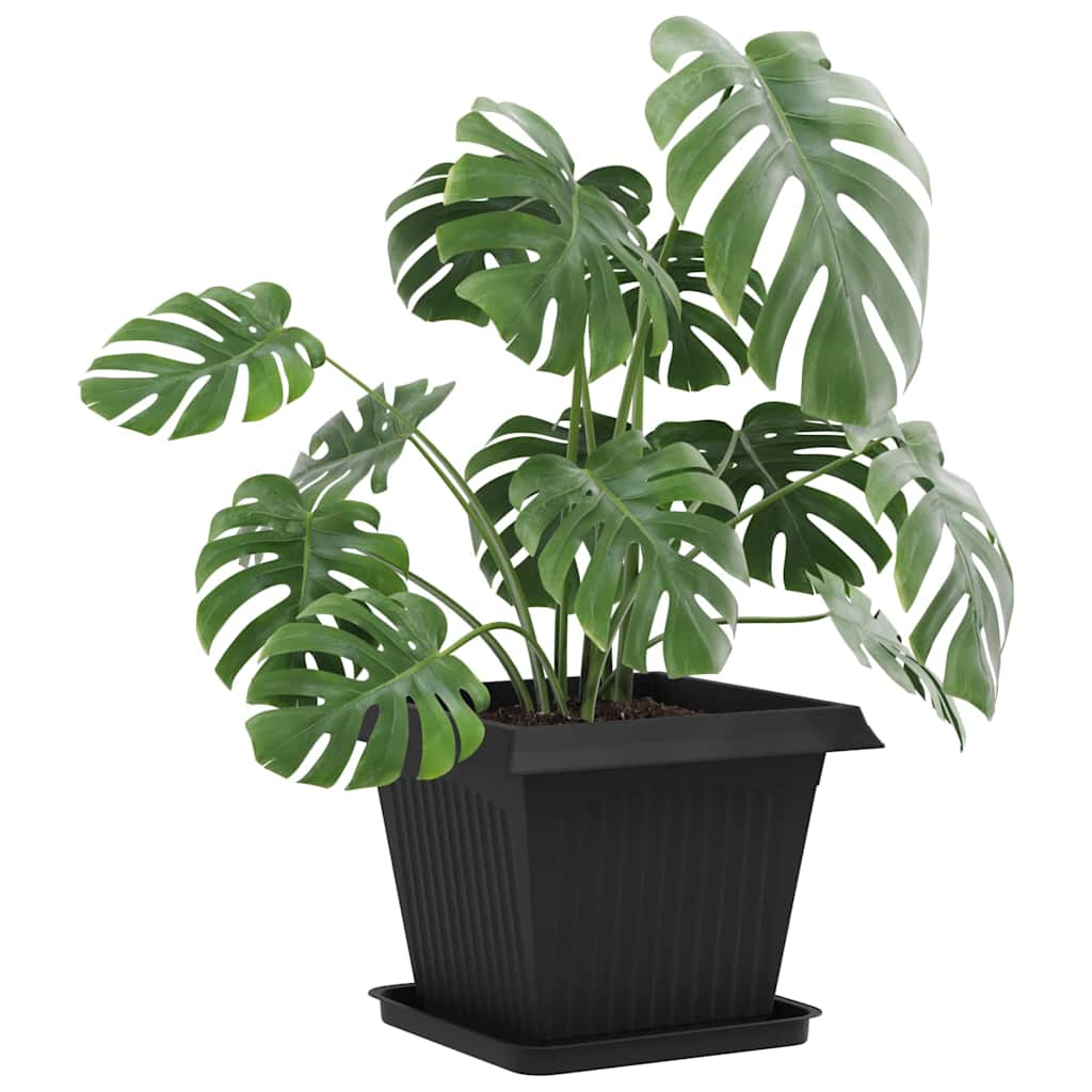 Vassoio Quadrato per Fiori 24 pcs Nero 36 x 36 x 2.5 cm | homemem39