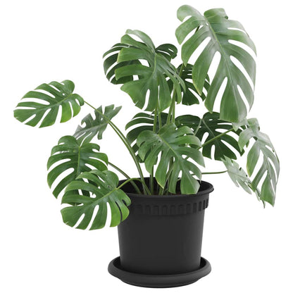 Vasi per Piante 6 pcs Nero Ø 15 x 12 cm Plastica | homemem39
