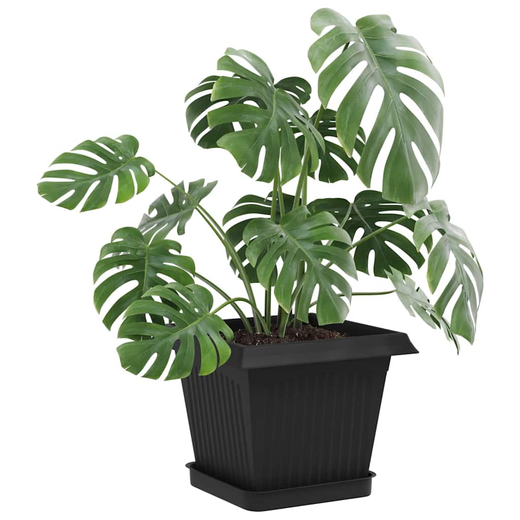 Vasi per Piante 6 pcs Nero 20 x 20 x 16 cm Plastica | homemem39