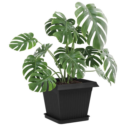 Vasi per Piante 6 pcs Nero 33 x 33 x 26 cm Plastica | homemem39