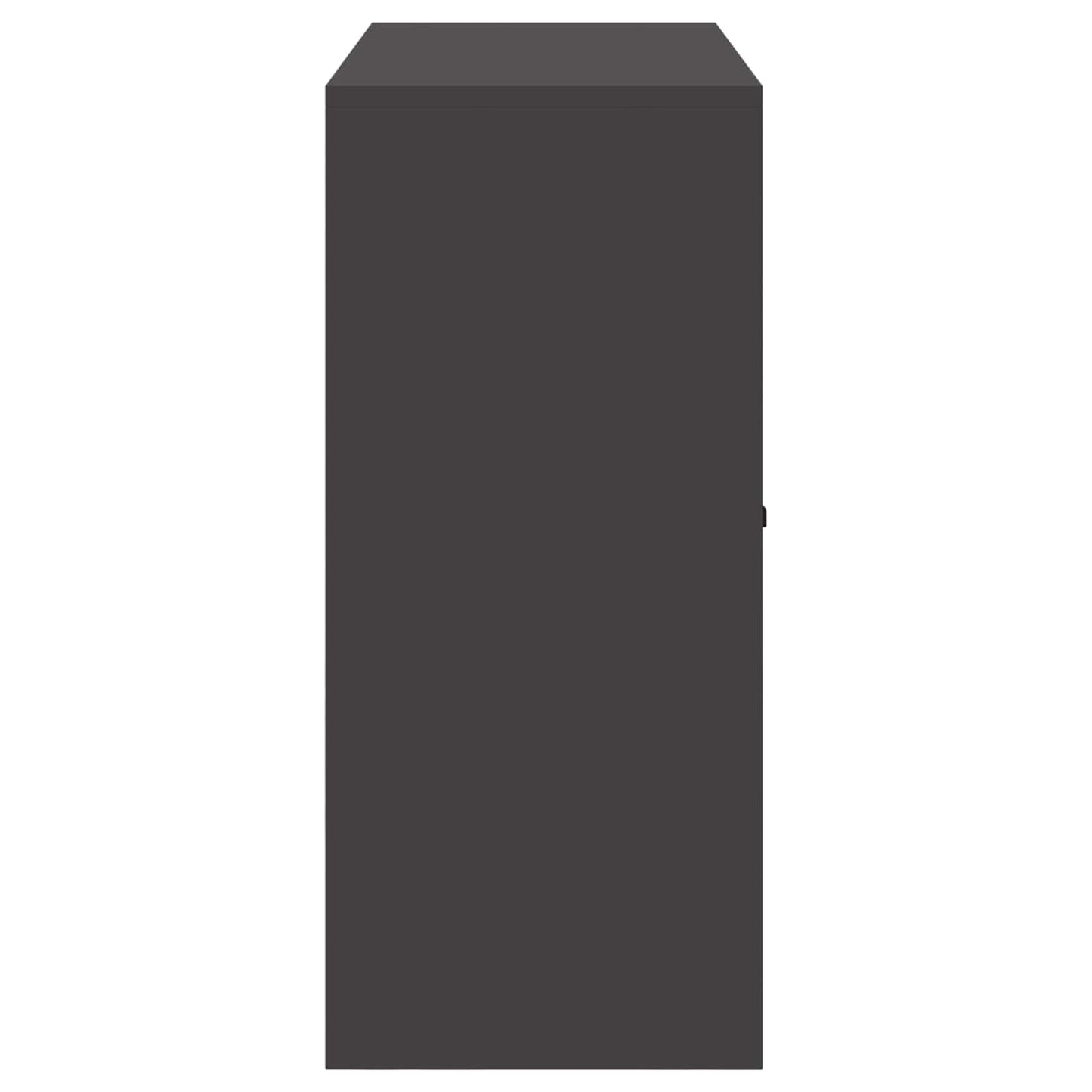 Armadio Nero 90 x 40 x 90 cm Acciaio