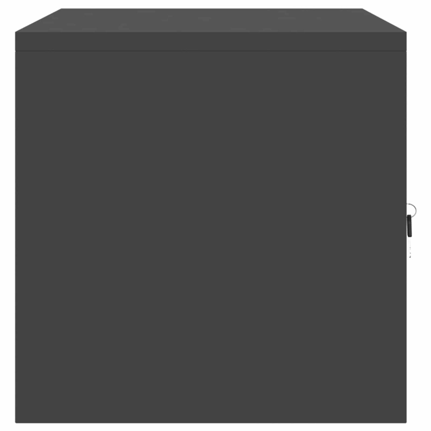Armadio Nero 80 x 40 x 40 cm Acciaio
