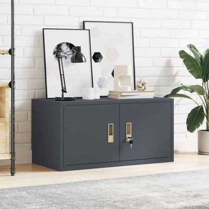 Armadio Antracite 80 x 40 x 40 cm Acciaio | homemem39