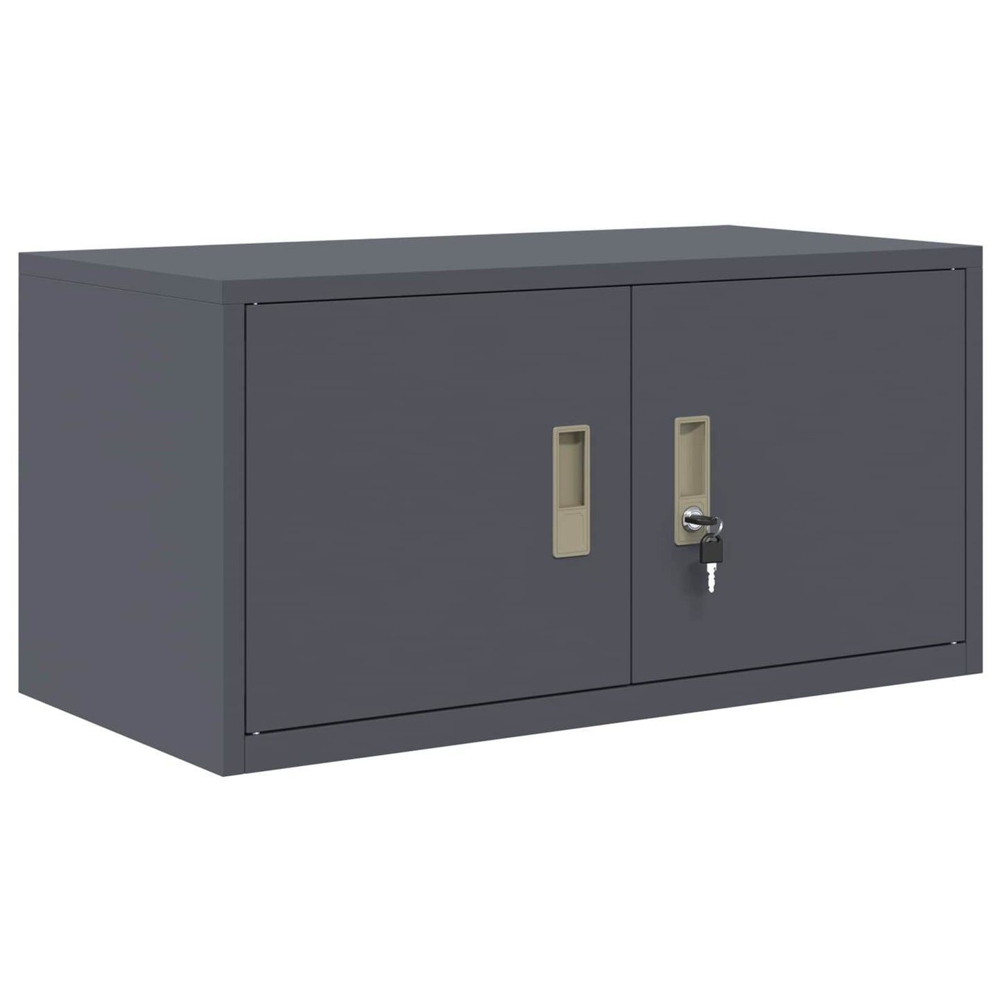 Armadio Antracite 80 x 40 x 40 cm Acciaio