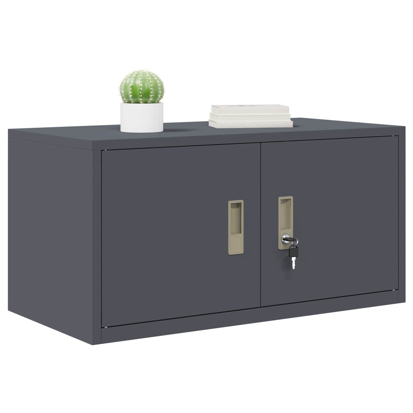 Armadio Antracite 80 x 40 x 40 cm Acciaio