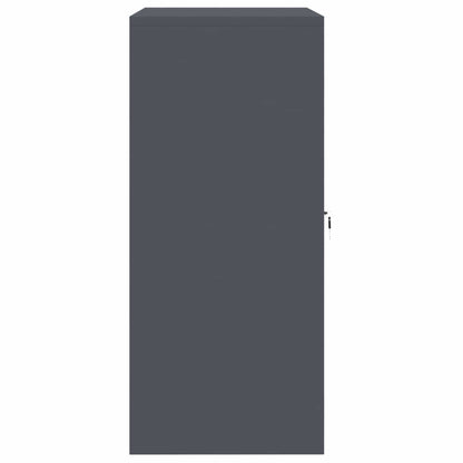 Armadio Antracite 80 x 40 x 90 cm Acciaio