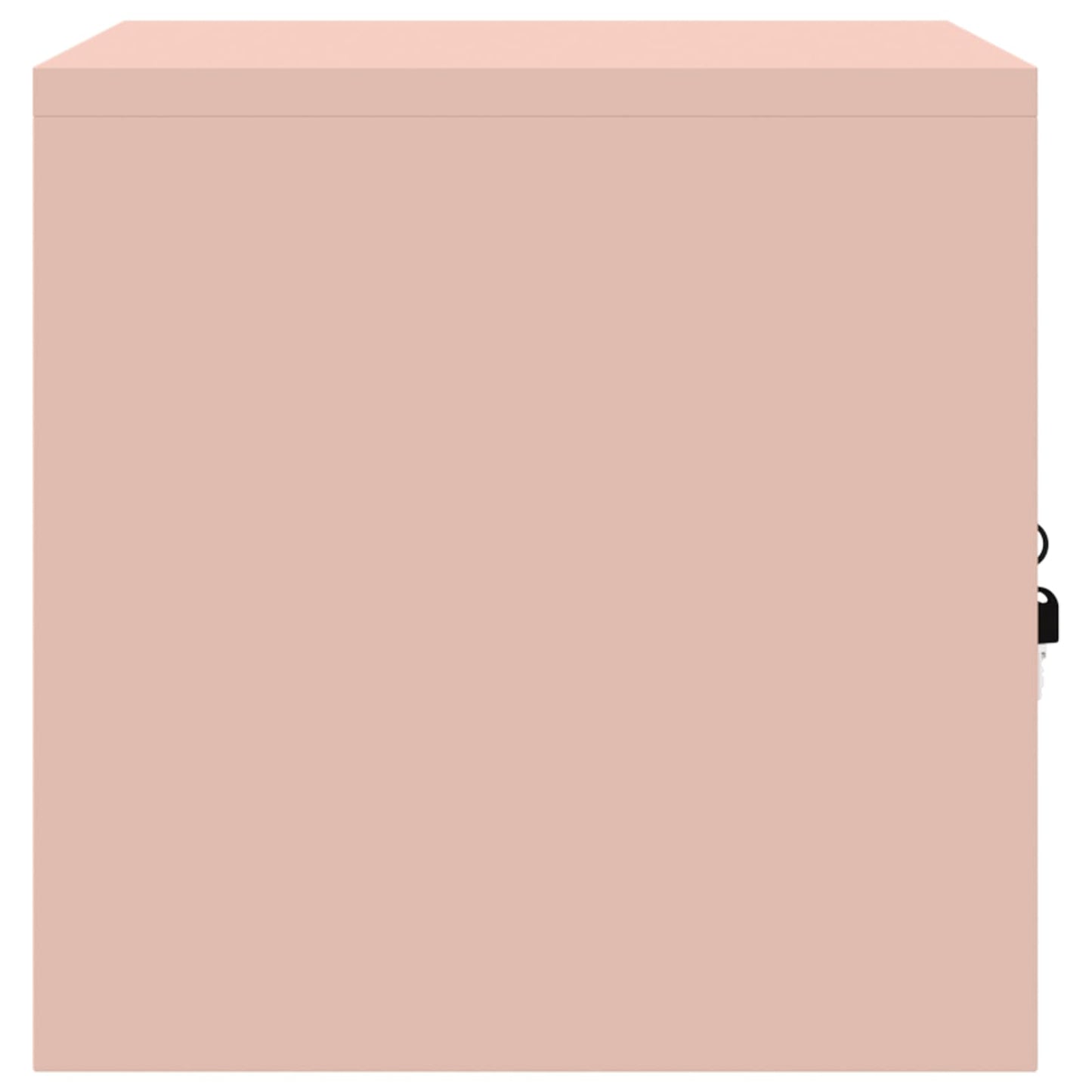 Armadio Rosa 60 x 40 x 40 cm Acciaio | homemem39