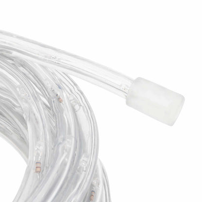 Luce a corda con 2400 LED Bianco Freddo 100 m PVC