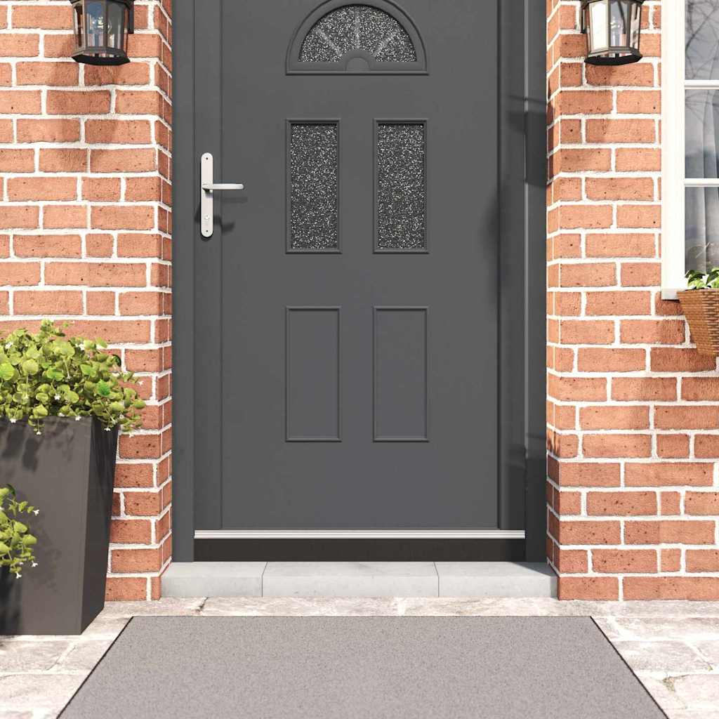 Spazzole per porte autoadesive 2 pcs Argento 100 cm | homemem39