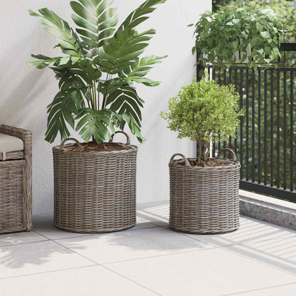 Cestino per piante con archiviazione 2 pcs Grigio Rattan Lacak | homemem39