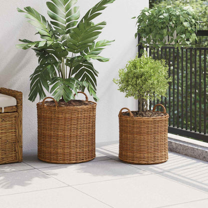 Cestino per piante con archiviazione 2 pcs Marrone Rattan Lacak | homemem39