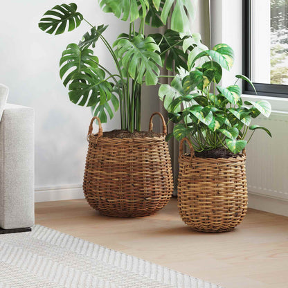 Cestino per piante con archiviazione 2 pcs Marrone Rattan Lacak | homemem39