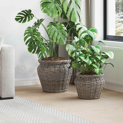 Cesto per Piante con archiviazione 2 pcs Grigio Rattan Lacak | homemem39