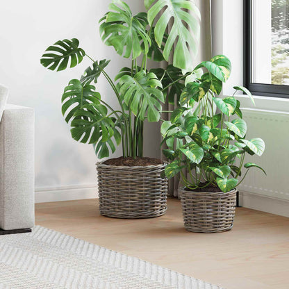 Cestino per Piante con archiviazione 2 pcs Grigio Rattan Kubu | homemem39