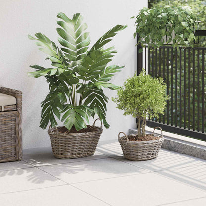 Cesto per Piante con archiviazione 2 pcs Grigio Rattan Lacak | homemem39